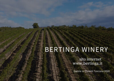 Bertinga Winery – Gaiole in Chianti
